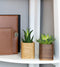 Oakywood Cubic Plant Pot - Massief Walnoot - Luxe Houten Kleine Plantenpot Bureauaccessoire
