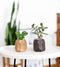 Oakywood Geometric Plant Pot - Massief Walnoot - Luxe Houten Kleine Plantenpot Bureauaccessoire