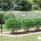 vidaXL - Doorzichtig - zeildoek - met - zeilringen - 4x12 - m - PVC
