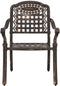 vidaXL - Tuinstoelen - 2 - stuks - in - bronzen - gietaluminium