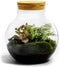 Growing Concepts DIY Duurzaam Ecosysteem Bol - H30xØ18cm