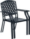 vidaXL - Tuinstoelen - stapelbaar - 2 - st - staal - antraciet