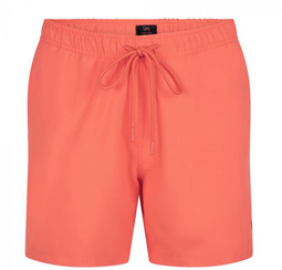 Undiemeister Highland Moss - Zwembroek Heren - Sneldrogend - Summer Sunset - Maat L