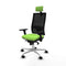 Bureaustoel Piqueras y Crespo 3D086N2 Pistache