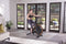 Octane Fitness Airdyne ADX