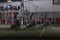 Octane Fitness Airdyne ADX