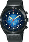 Pulsar Herenhorloge - PT3951X2
