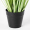 Mica Decorations Dogtail Gras - Kunstplant - Hoogwaardige afwerking - Groen