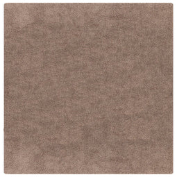 vidaXL - Shaggy - Tapijt - met - Latex - Achterkant - Bruin - 200x200 - cm