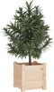 vidaXL - Plantenbak - 31x31x31 - cm - massief - grenenhout