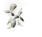 HV Doggy Style Beeld - Zilver - 21,5cm