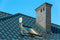 Oehlbach SCOPE VISION OUTDOOR WATERDICHTE DVB-T2 - DAB+ ANTENNE VOOR GEBRUIK BUITENSHUIS