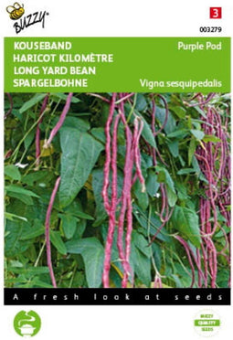 5 stuks - Buzzy - Kousenband paars Tuinplus