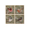Schilderij Home ESPRIT Groen Vogels Shabby Chic 50 x 2 x 50 cm (4 Stuks)