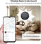 Buzzy GPS Tracker Android voor Hond en Kat - Werkt met Google 'Find Hub app' - Zonder Abonnement - GPS Tracker voor Auto, Hond, Kat, Kind & Bagage