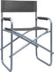 vidaXL - Regisseursstoelen - 2 - st - staal - grijs