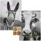Keukendoek HappyFriday Blanc Farm Multicolour 70 x 50 cm (2 Stuks)