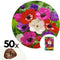 Plant in a Box - Anemone de Caen Mix x50 - Bloembollen winterhard - Tuin, pot of balkon