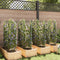 vidaXL - Tomatenkooien - 8 - st - 116 - cm - staal - en - polypropeen