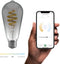 Hombli Smart Filament Bulb ST64 - E27 - CCT 1800K-6500K - Smokey