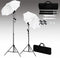 vidaXL - Fotostudioset - met - achtergrond, - lampen - en - paraplu's
