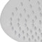 vidaXL - Regendouchekop - 2 - st - rond - 20 - cm - roestvrij - staal