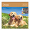 2026 Kalender schrijven 30 x 30 honden - gratis 2025