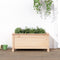 vidaXL - Plantenbak - 82,5x40x39 - cm - massief - grenenhout