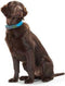Dog collar Hunter Convenience Turquoise (28-36 cm)