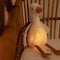 Little Dutch - Newborn Knuffelgans - Licht & Geluid - Wit