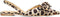 POSH by Poelman LOA Slingbacks - Dames - Blokhak 1.5 cm - Bruin met panterprint - Maat 41