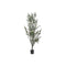 Boomstructuur Home ESPRIT Polyethyleen Olijfboom
