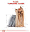 Royal Canin Yorkshire Terrier Adult - Hondenvoer - 3 kg