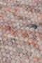 Carlotta 16 Vloerkleed - 170x240 - Rechthoek - Laagpolig,Structuur Tapijt - Landelijk - Grijs, Roze