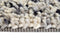 Brink en Campman - Dots 170504 Vloerkleed - 250x350 - Rechthoek - Laagpolig,Structuur Tapijt - Modern - Grijs, Wit
