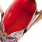 Oilily M Carry All - Zand - Dune