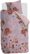 Oilily -