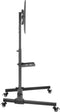 TV standaard - tv statief voet - verrijdbaar - hoogte instelbaar 116 cm tot 151 cm