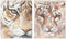 Schilderij Home ESPRIT Koloniaal Tijger 80 x 3,7 x 100 cm (2 Stuks)