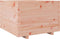 vidaXL - Plantenbak - 70x70x49,5 - cm - massief - douglashout