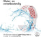imoshion Siliconen sport bandje - Universeel 22 mm aansluiting - Wit / Roze