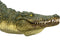 Mojo Wildlife Krokodil met Bewegende kaak - 387162