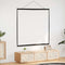 vidaXL - Projectiescherm - wandhangend - 67 - inch - 1:1
