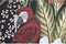 Schilderij DKD Home Decor 83 x 4,5 x 122,5 cm 83 x 4,5 x 123 cm Papegaai Tropisch (2 Stuks)
