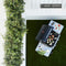 Barbecook Spring 3002 Gasbarbecue - Staal - Zwart