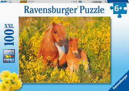 Ravensburger puzzel Shetland pony´s - Legpuzzel - 100 stukjes