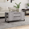 vidaXL - Salontafel - 102x44,5x50 - cm - bewerkt - hout - grijs - sonoma - eikenkleur