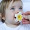 Oli & Carol Hawaii the Flower