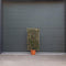 Olijfwilg haagelement Elaeagnus ebbingei h 150 cm st. hoogte 30cm
