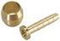 Oliveset (olive + insert) passend op Shimano SM-BH95 (50 sets)